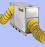  Kroll  HM